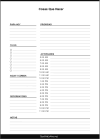 Daily Planner del dia